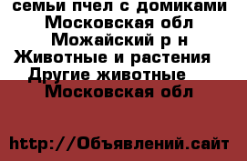 семьи пчел с домиками - Московская обл., Можайский р-н Животные и растения » Другие животные   . Московская обл.